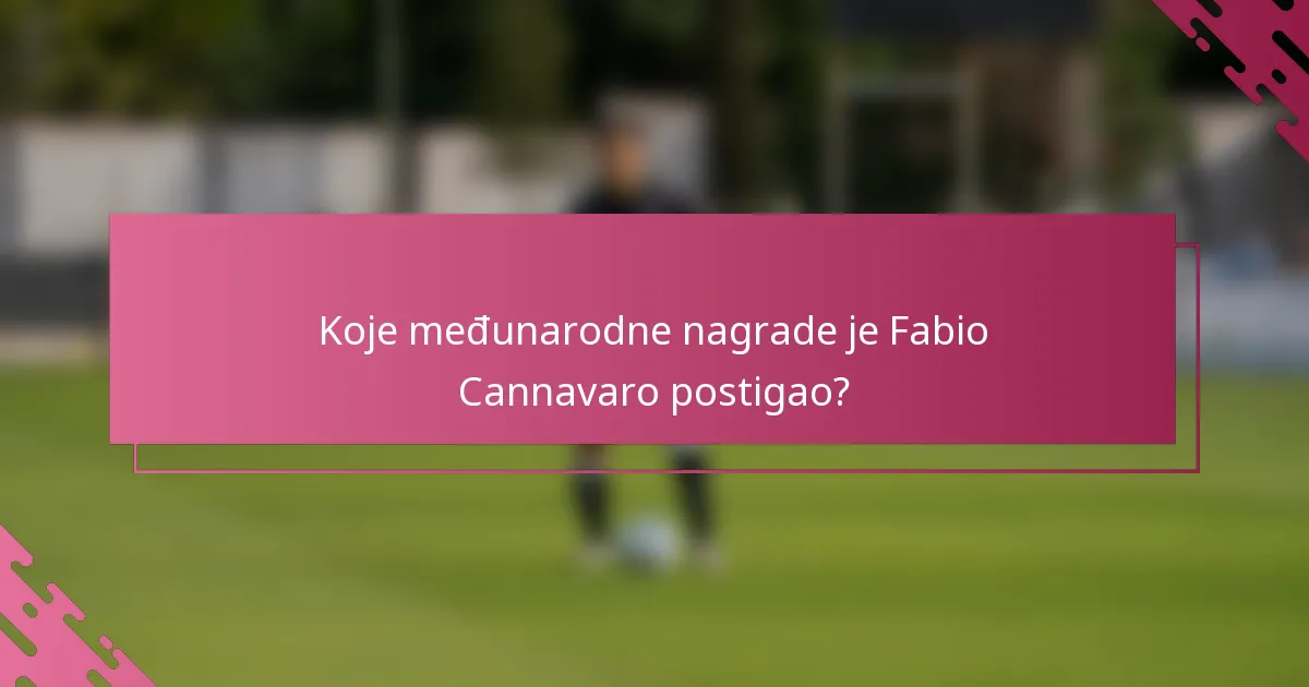 Koje međunarodne nagrade je Fabio Cannavaro postigao?